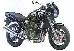 Suzuki Bandit